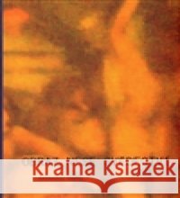 Obraz nese svědectví Barnabáš Bartl 9788090571334 SaBelon - książka