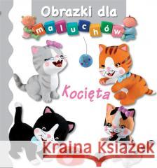 Obrazki dla maluchów - Kocięta Emilie Beaumont, Nathalie Belineau 9788383504971 Olesiejuk Sp. z o.o. - książka