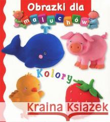 Obrazki dla maluchów - Kolory Emilie Beaumont, Nathalie Belineau 9788383504995 Olesiejuk Sp. z o.o. - książka