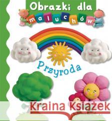 Obrazki dla maluchów - Przyroda Emilie Beaumont, Nathalie Belineau 9788383505046 Olesiejuk Sp. z o.o. - książka