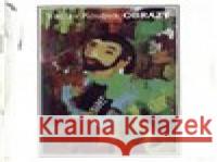 Obrazy Václav Koubek 8595026605329 Indies - książka