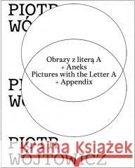 Obrazy z literą A + Aneks Piotr Wójtowicz, Andrzej Biernacki 9788366696419 Muzeum Sztuki w Łodzi - książka