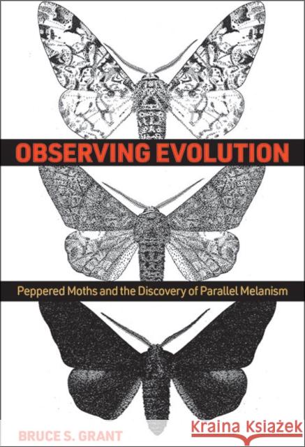 Observing Evolution: Peppered Moths and the Discovery of Parallel Melanism Bruce S. Grant 9781421441658 Johns Hopkins University Press - książka