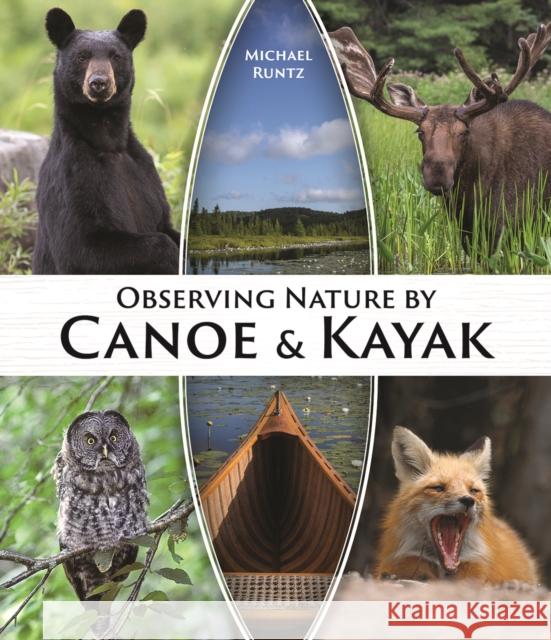 Observing Nature by Canoe and Kayak Michael Runtz 9780228104681 Firefly Books Ltd - książka