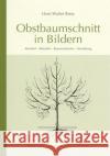 Obstbaumschnitt in Bildern : Kernobst - Steinobst - Beerensträucher - Veredelung Riess, Hans W.   9783875960457 Obst- u. Gartenbauverlag