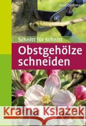 Obstgehölze schneiden : Schnitt für Schnitt Großmann, Gerd   9783800149711 Ulmer (Eugen) - książka