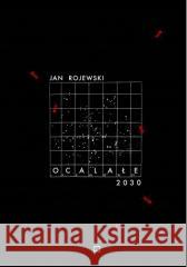 Ocalałe 2030 Jan Rojewski 9788395423567 Fundacja Kontent - książka
