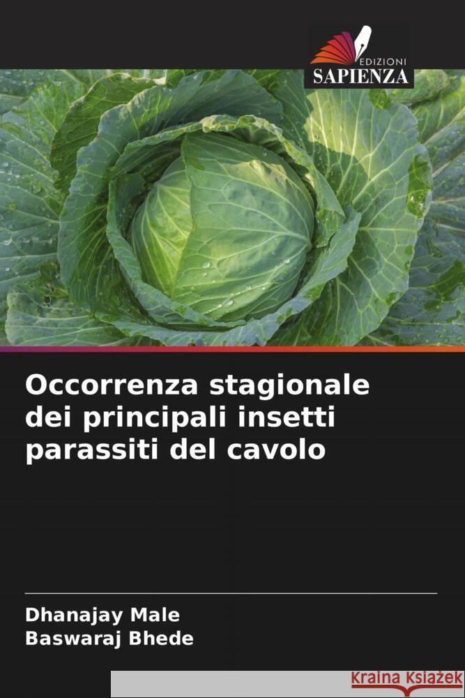 Occorrenza stagionale dei principali insetti parassiti del cavolo Male, Dhanajay, Bhede, Baswaraj 9786204517124 Edizioni Sapienza - książka