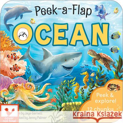 Ocean Cottage Door Press 9781646386680 Cottage Door Press - książka