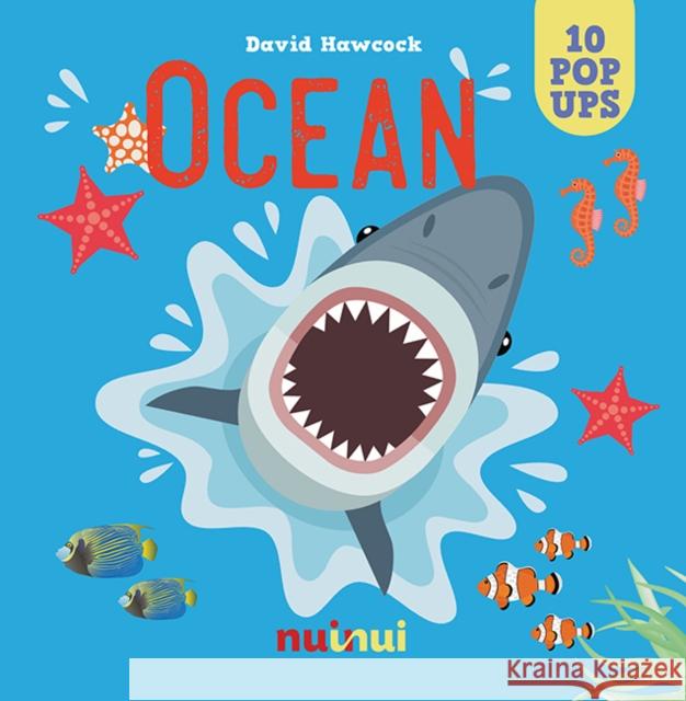 Ocean David Hawcock 9782889358724 nuinui - książka