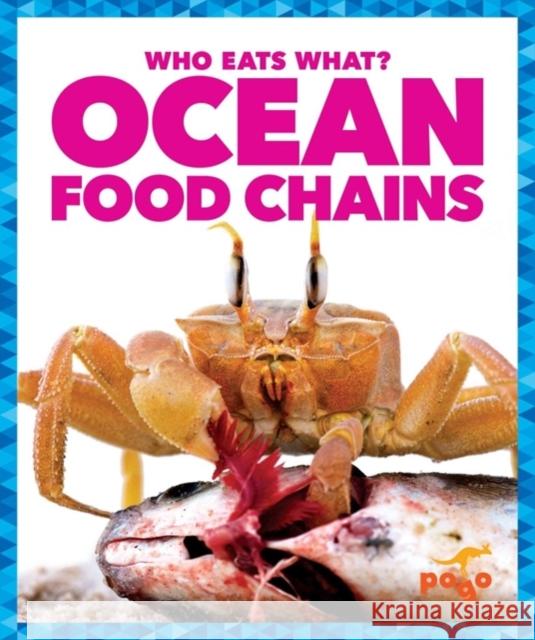 Ocean Food Chains Rebecca Pettiford 9781620313022 Jump! Inc. - książka