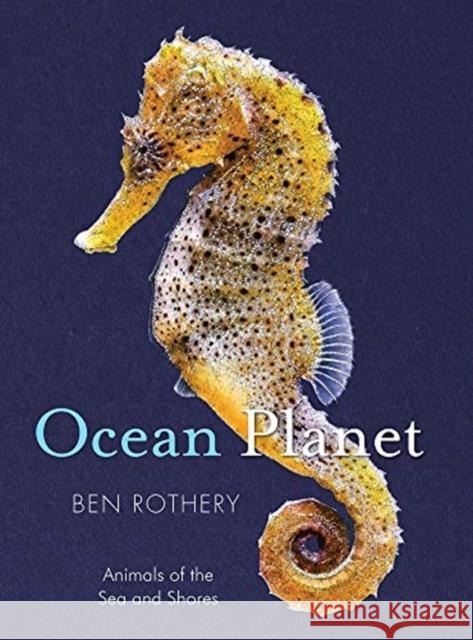 Ocean Planet: Animals of the Sea and Shore Ben Rothery 9780884489160 Tilbury House Publishers - książka