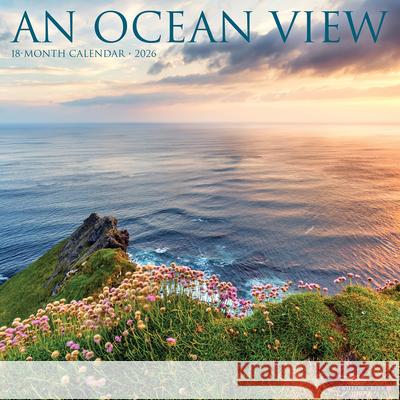Ocean View 2026 12 X 12 Wall Calendar Willow Creek Press 9781549252228 Wlcp - książka