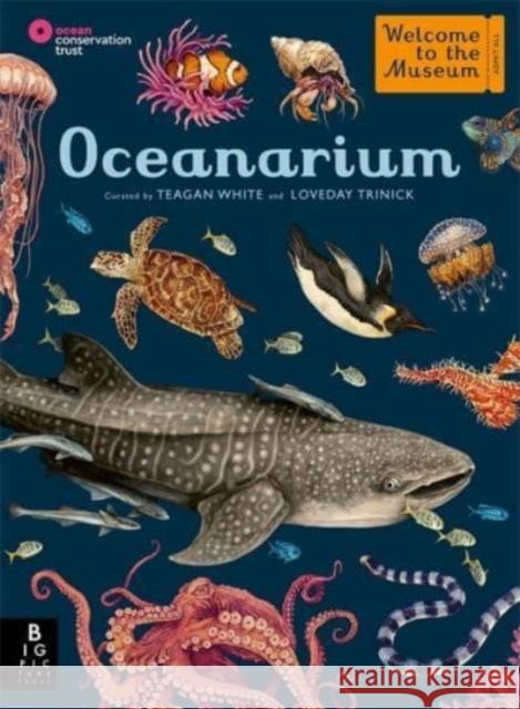 Oceanarium Loveday Trinick 9781787416314 Templar Publishing - książka