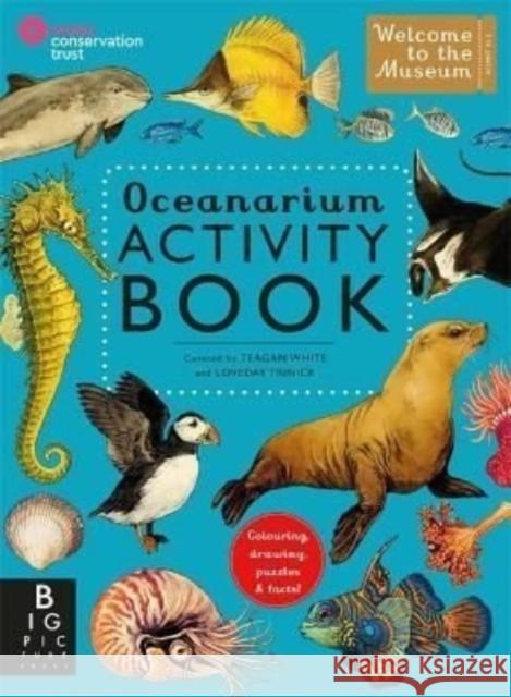 Oceanarium Activity Loveday Trinick 9781800782433 Templar Publishing - książka