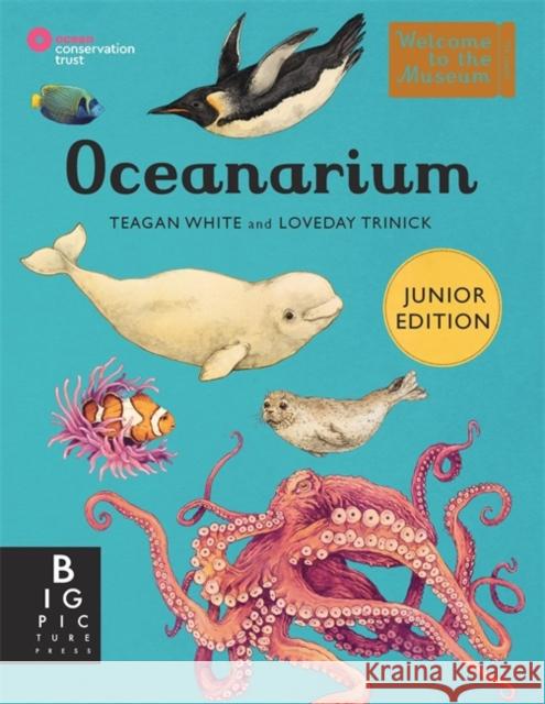 Oceanarium (Junior Edition) Loveday Trinick 9781800784895 Templar - książka