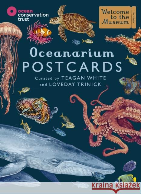 Oceanarium Postcards Loveday Trinick 9781800783591 Templar Publishing - książka