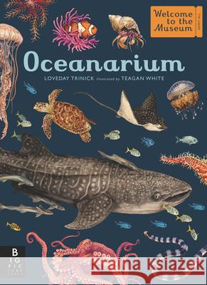 Oceanarium: Welcome to the Museum Loveday Trinick Teagan White 9781536223811 Big Picture Press - książka