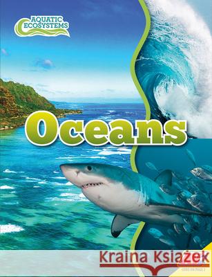 Oceans John Willis 9781791128272 Av2 - książka