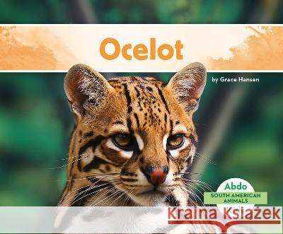 Ocelot Grace Hansen 9781098261832 Abdo Kids Jumbo - książka