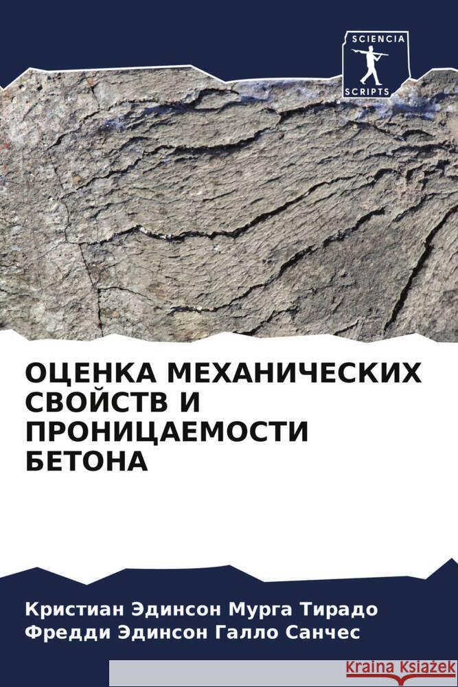 OCENKA MEHANIChESKIH SVOJSTV I PRONICAEMOSTI BETONA Murga Tirado, Kristian Jedinson, Gallo Sanches, Freddi Jedinson 9786205221617 Sciencia Scripts - książka