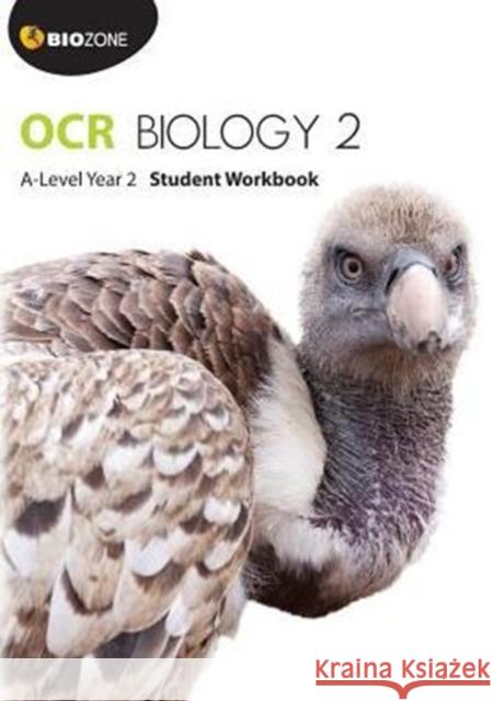 OCR Biology 2: A-Level Richard Allan 9781927309148 Biozone International Ltd - książka