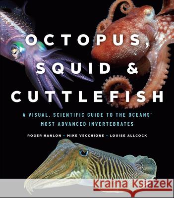 Octopus, Squid, and Cuttlefish: A Visual, Scientific Guide to the Oceans' Most Advanced Invertebrates Roger Hanlon Mike Vecchione Louise Allcock 9780226459561 University of Chicago Press - książka