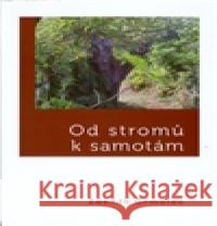 Od stromů k samotám ZdenÄ›k Grmolec 9788072048366 CERM - książka