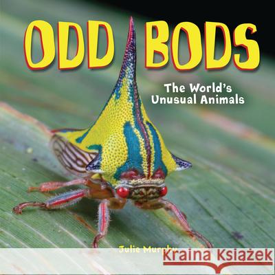 Odd Bods: The World's Unusual Animals Julie Murphy 9781541585027 Millbrook Press (Tm) - książka