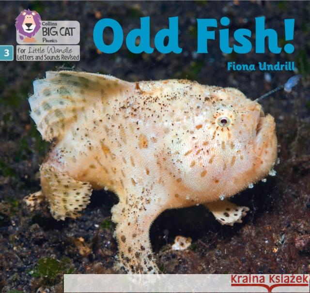 Odd Fish!: Phase 3 Set 1 Undrill, Fiona 9780008504496 HarperCollins Publishers - książka