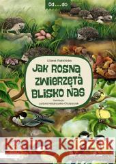 Od...do. Jak rosną zwierzęta blisko nas Fabisińska Liliana 9788327105776 Papilon - książka