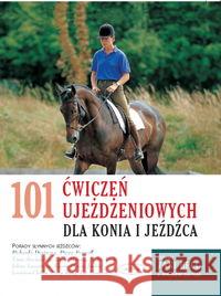 Odnaleźć radość życia- nadać sens codzienności Grun Anselm 9788360703311 Salwator - książka