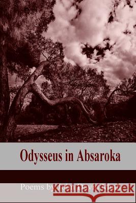 Odysseus in Absaroka John David Muth 9781947465688 Kelsay Books - książka