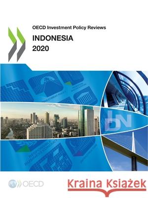 OECD Investment Policy Reviews: Indonesia 2020 Oecd   9789264655263 Organization for Economic Co-operation and De - książka