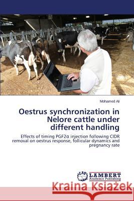 Oestrus Synchronization in Nelore Cattle Under Different Handling Ali Mohamed 9783659292170 LAP Lambert Academic Publishing - książka