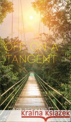Off on a Tangent: A survey of sound doctrine gone wild Bob Schwandt 9780578913568 Palmetto Publishing - książka