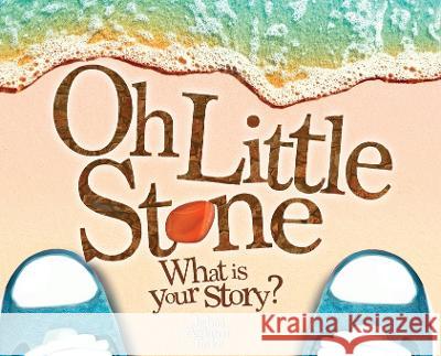 Oh Little Stone: What is your story? Joshua Anderson Taylor   9781399926492 Little Stone Publishing - książka