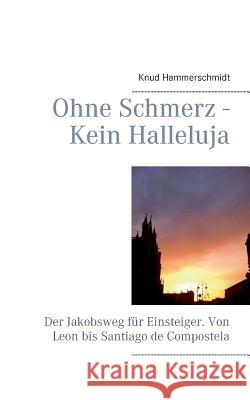 Ohne Schmerz - Kein Halleluja: Der Jakobsweg für Einsteiger. Von Leon bis Santiago de Compostela Hammerschmidt, Knud 9783848213863 Books on Demand - książka