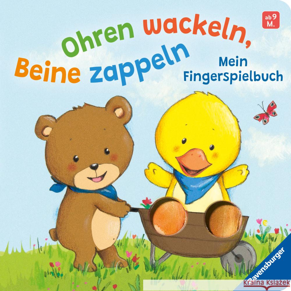 Ohren wackeln, Beine zappeln: Mein Fingerspielbuch. Babybuch ab 9 Monaten Cordes, Miriam 9783473421534 Ravensburger Verlag - książka