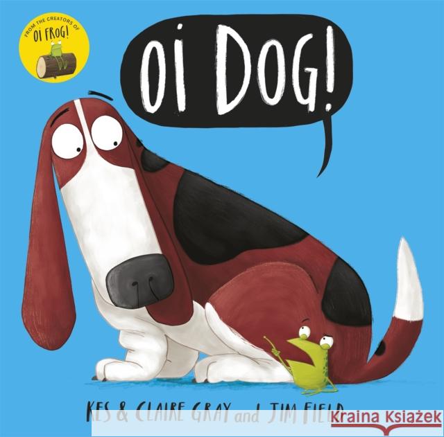 Oi Dog! Gray, Kes|||Gray, Claire 9781444919592 Hachette Children's Group - książka