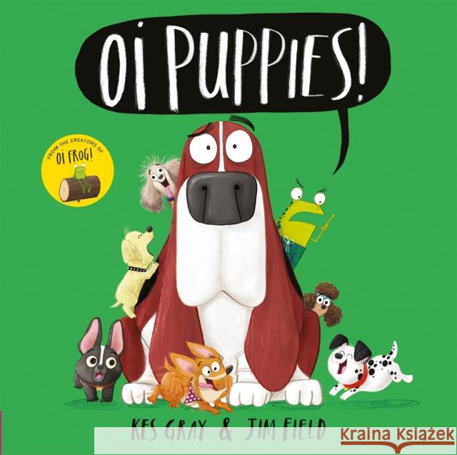Oi Puppies! Kes Gray 9781444937350 Hachette Children's Group - książka