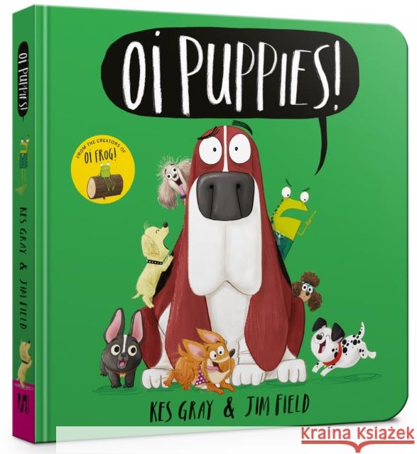 Oi Puppies Board Book Kes Gray 9781444948547 Hachette Children's Group - książka