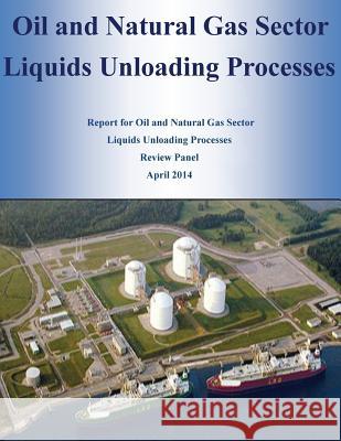 Oil and Natural Gas Sector Liquids Unloading Processes U. S. Environmental Protection Agency 9781499388336 Createspace - książka