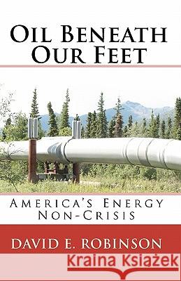 Oil Beneath Our Feet: America's Energy Non-Crisis David E. Robinson 9781449986186 Createspace - książka