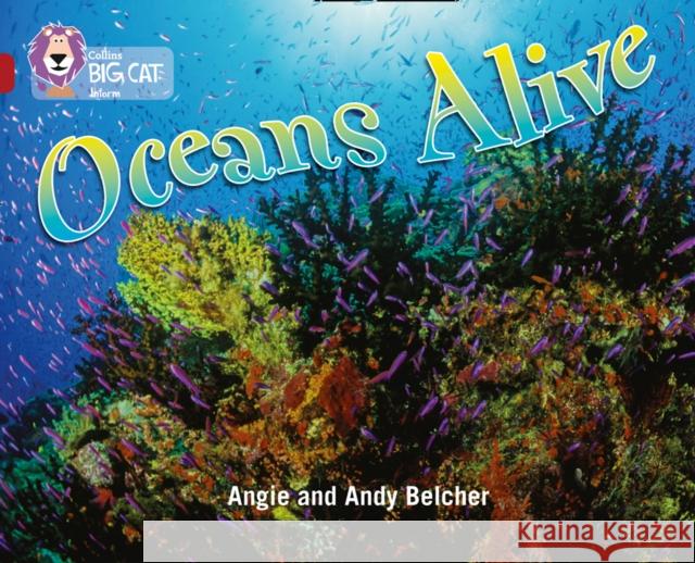 Oceans Alive: Band 14/Ruby