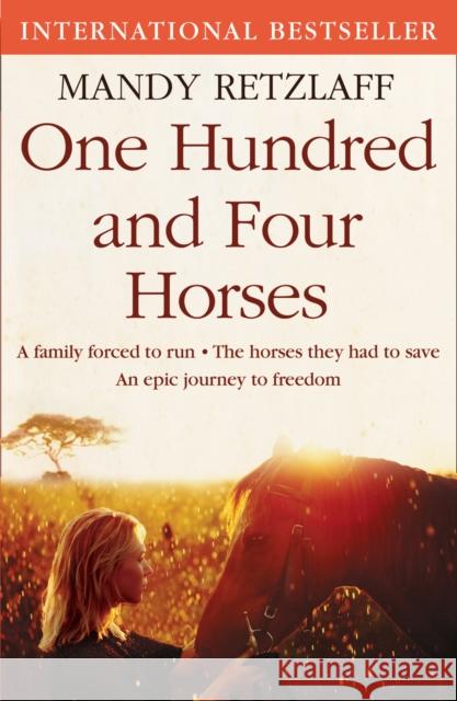 One Hundred and Four Horses