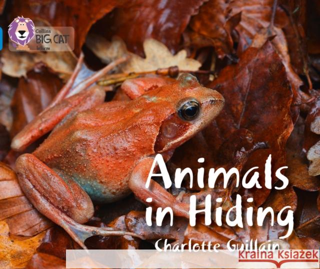 Animals in Hiding: Band 04/Blue