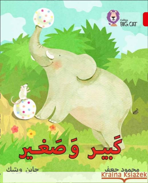 Big and Small: Level 2 (Kg)