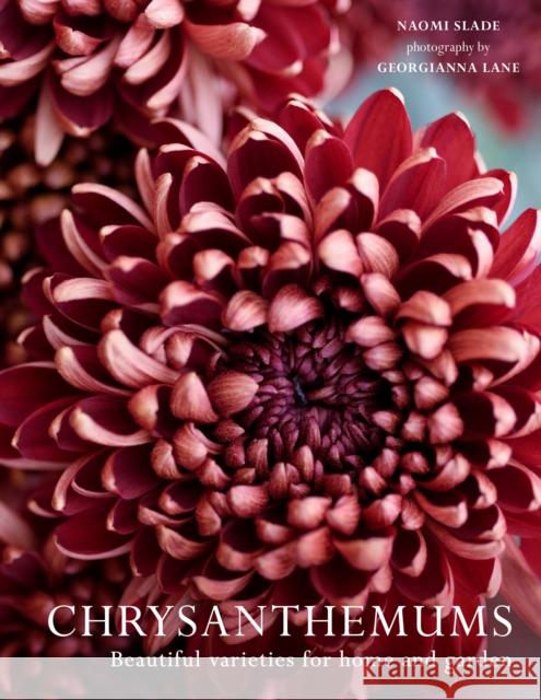 Chrysanthemums: Beautiful Varieties for Home and Garden