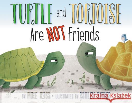 Turtle and Tortoise Are Not Friends